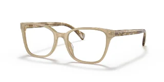 6010 Shiny Opal Beige