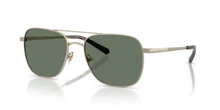 10263H Matte Gold