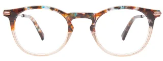 Easyclip Eyeglasses EC536