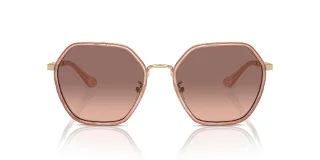 Coach Sunglasses HC7167B