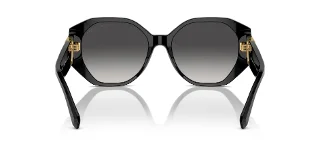 Ralph Lauren Sunglasses RL8220
