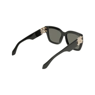 Salvatore Ferragamo Sunglasses SF2083SE
