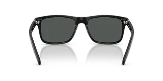 Arnette Sunglasses AN4298