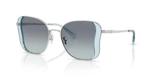 Coach Sunglasses HC7188