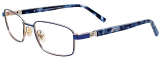 050 Blue & Steel/Blue Tortoise