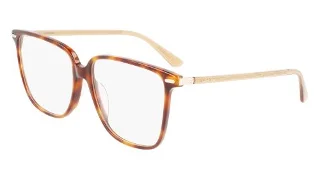 Calvin Klein Eyeglasses CK22543