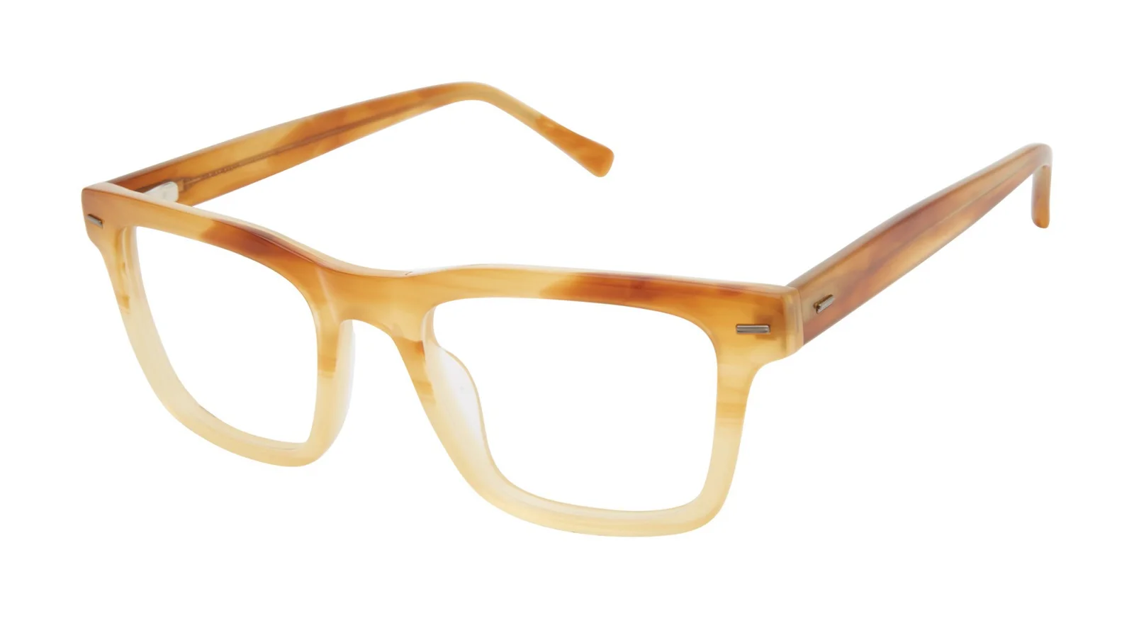 Ted Baker Eyeglasses TM010