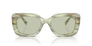 Ralph Lauren Sunglasses RL8217U