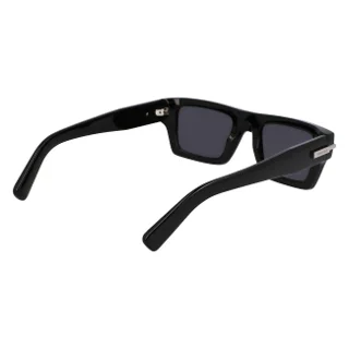 Salvatore Ferragamo Sunglasses SF2034S