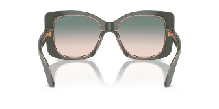 Giorgio Armani Sunglasses AR8208U
