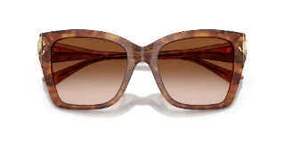 Jimmy Choo Sunglasses JC5012