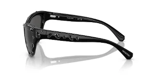 Swarovski Sunglasses SK6007