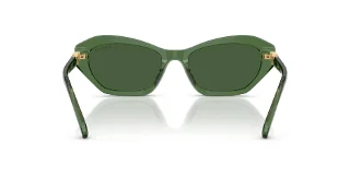 Swarovski Sunglasses SK6048