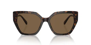 Swarovski Sunglasses SK6016F