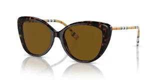 385483 Dark Havana