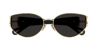 Chloe Sunglasses CH0260S
