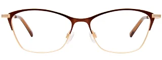 Easyclip Eyeglasses EC541