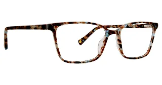 Tortoise/Blue
