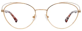 Easyclip Eyeglasses EC501