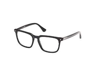 Web Eyeglasses WE5430