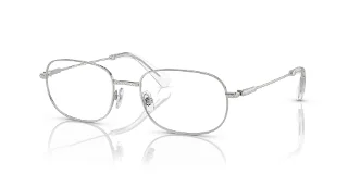 Swarovski Eyeglasses SK1005