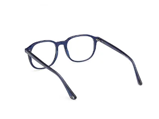 Web Eyeglasses WE5454