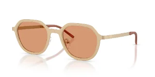 Emporio Armani Sunglasses EA2176