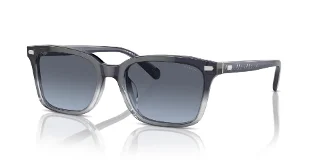 58168F Blue Gradient