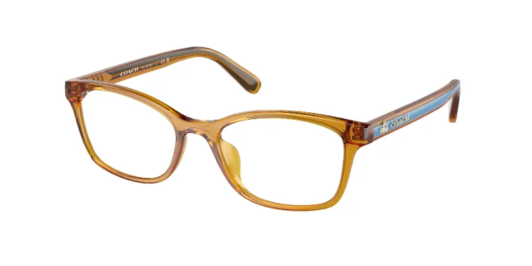 Coach Eyeglasses HC6216U