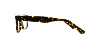 Eight to Eighty Eyeglasses Dennis
