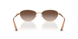 Jimmy Choo Sunglasses JC4032BD