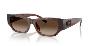512087 Dark Tortoise