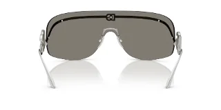 Dolce & Gabbana Sunglasses DG2320