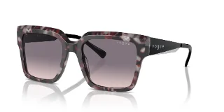 314936 Grey Tortoise