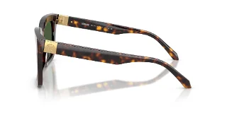 Versace Sunglasses VE4498