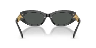 Versace Sunglasses VE4501F