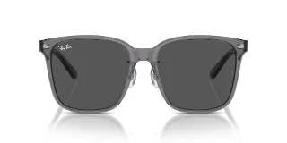 Ray Ban Sunglasses RB2206D
