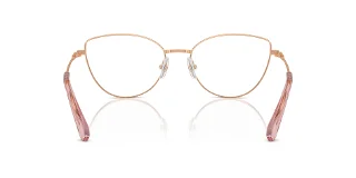 Swarovski Eyeglasses SK1012