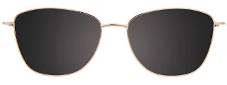 Easyclip Eyeglasses EC619