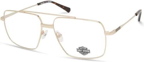 Harley Davidson Eyeglasses HD9020