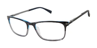 Ted Baker Eyeglasses TFM005