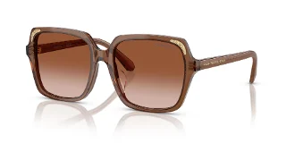 106713 Transparent Brown
