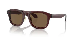 606273 Transparent Brown