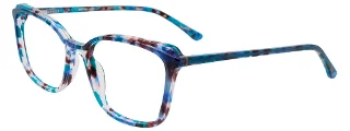 050 Blue Tortoise