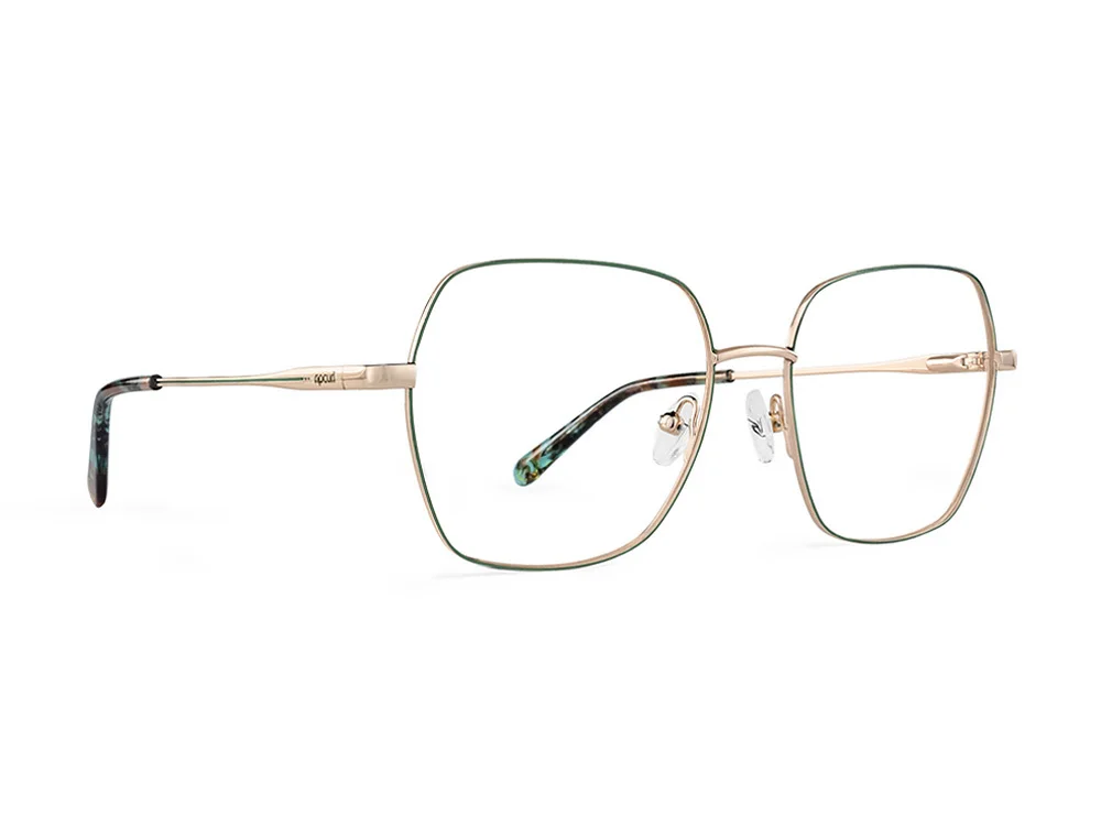 Rip Curl Eyeglasses RIP CURL-RC 2098