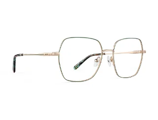 Rip Curl Eyeglasses RIP CURL-RC 2098