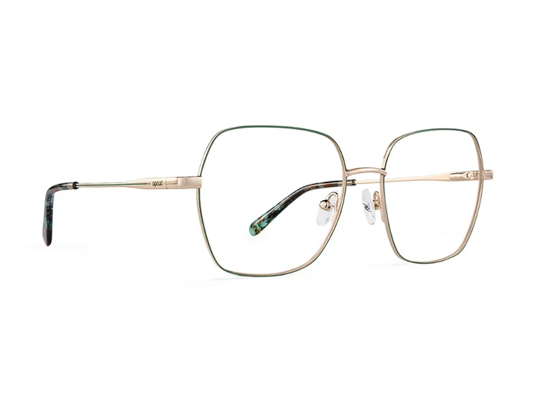 Rip Curl Eyeglasses RIP CURL-RC 2098
