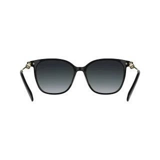 Longchamp Sunglasses LO805S