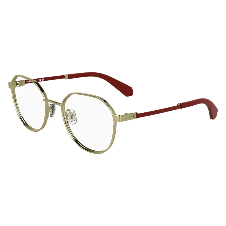 Calvin Klein Collection Eyeglasses CKJ25304