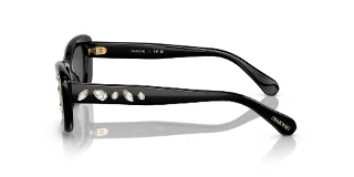 Swarovski Sunglasses SK6008